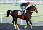 Trinniberg
<br><a target="blank" href="http://photos.bloodhorse.com/AtTheRaces-1/at-the-races-2013/27257665_QgCqdh#!i=2429707335&k=f7rHcLQ">Order This Photo</a>