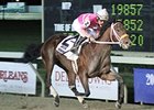 Bern Identity rolls home in the Jean Lafitte Stakes.