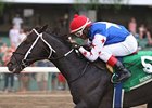 Dunkin Bend will face 11 in the Remington Springboard Mile on Dec. 15.