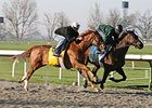 Terrain (left) worked at Keeneland on April 4 in preparation for the Blue Grass Stakes.