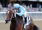 Cluster of Stars won the 2013 Gallant Bloom. <br><a target="blank"
href="http://photos.bloodhorse.com/AtTheRaces-1/at-the-races-2013/27257665_QgCqdh#!i=2780832028&k=3WgvBqR">Order This Photo</a>