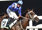 <br><a target="blank" href="http://photos.bloodhorse.com/AtTheRaces-1/at-the-races-2013/27257665_QgCqdh#!i=2432579324&k=VcWD6v3">Order This Photo</a>