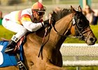 Bourbon Bay is back on the turf in the Del Mar Handicap.<br><a target="blank" href="http://www.bloodhorse.com/horse-racing/photo-store?ref=http%3A%2F%2Fpictopia.com%2Fperl%2Fgal%3Fprovider_id%3D368%26ptp_photo_id%3D8850002%26ref%3Dstory">Order This Photo</a>