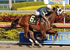 Starship Truffles
<br><a target="blank" href="http://photos.bloodhorse.com/AtTheRaces-1/at-the-races-2012/22274956_jFd5jM#!i=2247652425&k=HZbjkxV">Order This Photo</a>