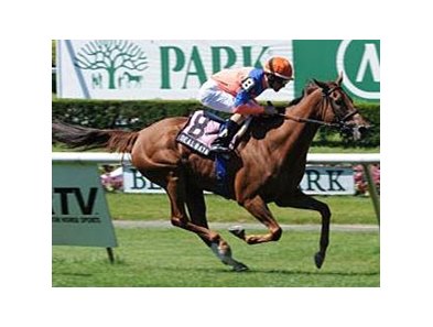 Dealbata will make her 2013 debut in the Endeavour Stakes at Tampa Bay Downs.