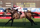 Boss Back From Hong Kong for Another Win Boss Back From Hong Kong for Another Win