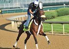 Java's War
<br><a target="blank" href="
http://photos.bloodhorse.com/TripleCrown/2013-Triple-Crown/Kentucky-Derby-Workouts/i-f72fcXS">Order This Photo</a>