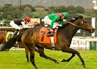 Alexandra Rose pulls away late to take the Monrovia.<br><a target="blank" href="http://www.bloodhorse.com/horse-racing/photo-store?ref=http%3A%2F%2Fpictopia.com%2Fperl%2Fgal%3Fprovider_id%3D368%26ptp_photo_id%3D3182829%26ref%3Dstory">Order This Photo</a>