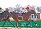 Proceed Bee won his last start, the Grand Canyon in November on the grass at Churchill Downs.