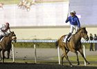 Falls of Lora won the 2012 United Arab Emirates Oaks.