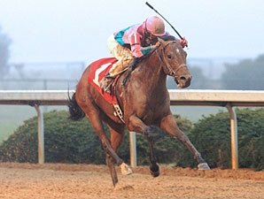 Ohio Derby Field Taking Shape Ohio Derby Field Taking Shape