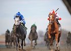 Frosted (left) finished 2nd in the Remsen.<br><a target="blank" href="http://photos.bloodhorse.com/AtTheRaces-1/At-the-Races-2014/i-GMmNWHF">Order This Photo</a>
