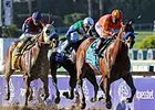 Secret Circle wins the 2013 Xpressbet Breeders' Cup Sprint. <br><a target="blank" href="http://photos.bloodhorse.com/BreedersCup/2013-Breeders-Cup/Sprint/33149951_TtjBB8#!i=2878537670&k=jRQKpF4">Order This Photo</a>