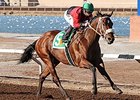 Proceed was honored as the champion New Mexico-bred 3-year-old colt or gelding for 2014.