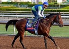 Secret Circle
<br><a target="blank" href="http://photos.bloodhorse.com/BreedersCup/2014-Breeders-Cup/Works/i-md7TFm6">Order This Photo</a>