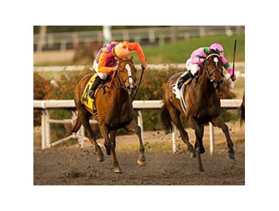 Killer Graces (left) and Charm the Maker finished 1-2 in the Hollywood Starlet.