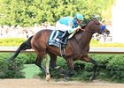 Bodemeister