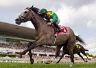 Paddy O'Prado Gets Grade I in Secretariat Paddy O'Prado Gets Grade I in Secretariat