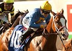 Dry Summer is the 5-2 favorite in the Mine that Bird Derby.