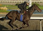 Reporting Star finished third in the 2014 Northern Dancer Stakes and fifth in the Canadian International.