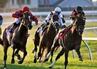 Amira's Prince heads home to victory in the Mervin H. Muniz Memorial Handicap.<br><a target="blank" href="http://photos.bloodhorse.com/AtTheRaces-1/at-the-races-2013/27257665_QgCqdh#!i=2433377044&k=rqdPJdp">Order This Photo</a>