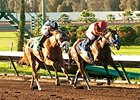 Tiz Midnight (right) fights off Warren's Veneda to win the Bayakoa Stakes.