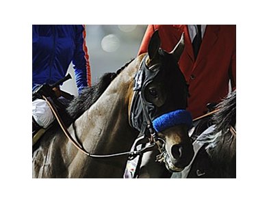 Game On Dude