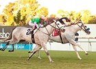 Egg Drop wins the Matriarch Stakes.
