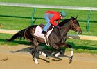 Amie's Dini works towards the Kentucky Oaks.