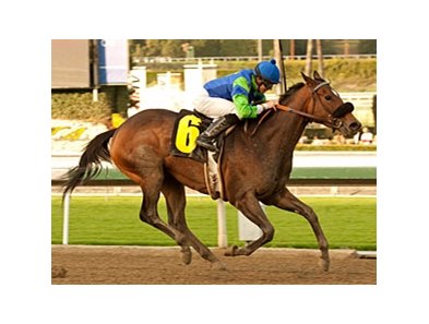 Include Me Out wins the La Canada Stakes.
