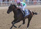 Close Hatches
<br><a target="blank" href="http://photos.bloodhorse.com/AtTheRaces-1/at-the-races-2013/27257665_QgCqdh#!i=2590722306&k=MpX7cWj">Order This Photo</a>