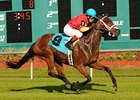 Jenny's So Great was trained by Greg de Gannes.