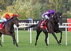 So You Think Impressive in Irish Champion So You Think Impressive in Irish Champion