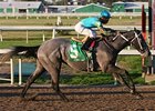 Z Fortune seeks a return to the winner's circle in the Arkansas Derby.