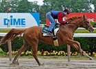 Casino Drive will be pointed for the Oct. 25 Breeders' Cup Classic (gr. I). <br><a target="blank" href="http://www.bloodhorse.com/horse-racing/photo-store?ref=http%3A%2F%2Fpictopia.com%2Fperl%2Fgal%3Fprovider_id%3D368%26ptp_photo_id%3D4737821%0D%0A%26ref%3Dstory">Order This Photo</a>