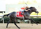 Win Willy tries for his fifth victory at Oaklawn Park in the Oaklawn Handicap.