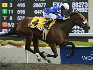 Duchess: Sharp Secretary in First Stakes Win Duchess: Sharp Secretary in First Stakes Win