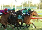 Very One Handicap winner Mauralakana will find some familiar foes in the Orchid Handicap.<br><a target="blank" href="http://www.bloodhorse.com/horse-racing/photo-store?ref=http%3A%2F%2Fpictopia.com%2Fperl%2Fgal%3Fprovider_id%3D368%26ptp_photo_id%3D3788807%26ref%3Dstory">Order This Photo</a>