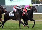 Effie Trinket holds off Sally's Dream to win the Ticonderoga Stakes.<br><a target="blank" href="http://photos.bloodhorse.com/AtTheRaces-1/at-the-races-2013/27257665_QgCqdh#!i=2844397989&k=gt4fpST">Order This Photo</a>