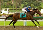Matto Mondo streaks down the stretch in the Thunder Road.<br><a target="blank" href="http://www.bloodhorse.com/horse-racing/photo-store?ref=http%3A%2F%2Fpictopia.com%2Fperl%2Fgal%3Fprovider_id%3D368%26ptp_photo_id%3D7685928%26ref%3Dstory">Order This Photo</a>