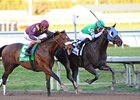 Gulfstream Park Derby winner Reveron
