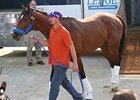 Lookin At Lucky arrives at Churchill Downs on April 13, 2010.