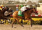 Tres Borrachos flies home in the San Diego at Del Mar.<br><a target="blank" href="http://www.bloodhorse.com/horse-racing/photo-store?ref=http%3A%2F%2Fpictopia.com%2Fperl%2Fgal%3Fprovider_id%3D368%26ptp_photo_id%3D9621245%26ref%3Dstory">Order This Photo</a>
