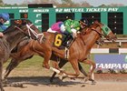 Rock Candy defeated Ameribelle (inside) and Don't Forget Gil (left) in the Suncoast Stakes.