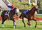 Free Fighter, who won the 2009 Stars and Stripes, will try for a repeat performance in 2010.