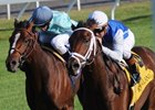 Interactif turned in a dominating performance in the Bourbon Stakes at Keeneland.<br><a target="blank" href="http://www.bloodhorse.com/horse-racing/photo-store?ref=http%3A%2F%2Fpictopia.com%2Fperl%2Fgal%3Fprovider_id%3D368%26ptp_photo_id%3D8547982%26ref%3Dstory">Order This Photo</a>