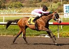 Miss Empire won the Cinderella Stakes by 4 3/4 lengths on June 16.