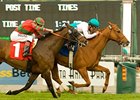 Daytona Scores in Arcadia Handicap Daytona Scores in Arcadia Handicap