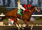 Calgary Cat wins the Kennedy Road Stakes.