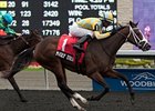 Madly Truly won the Mazarine Stakes Oct. 5 on the Woodbine Polytrack.